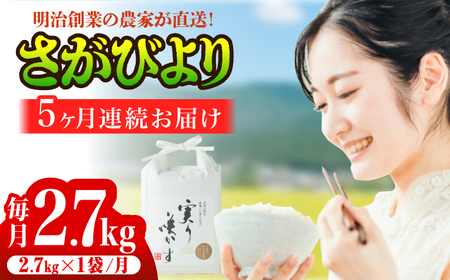 yS5ցzߘa7NY ͔|ԒA_sgpuтv v13.5kgi2.7kg×1×5j / ꌧ / g_Y [41AACV005]