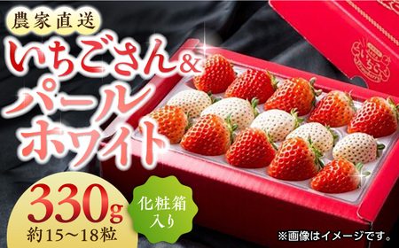 [2026年発送分 先行予約][化粧箱入り]佐賀県産 いちごさん・パールホワイト 330g(約15-18粒)/ イチゴ イチゴ イチゴ イチゴ イチゴ イチゴ イチゴ / 佐賀県 / かわさきいちご 