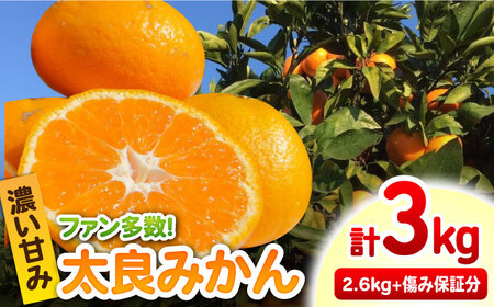 [12/22(日)までのお申込みで年内お届け][年内発送]完熟 太良みかん 計3kg(2.6kg+400g傷み保証分)/ フルーツ 果物 みかん 蜜柑 ミカン / 佐賀県 / 山本農園 [41ATBT002] 太良みかん