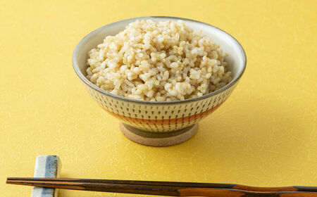 yS5ցzߘa7NY ʍ͔|āuтvČv18kgi3kg×1×5j / ꌧ / g_Y [41AACV012]