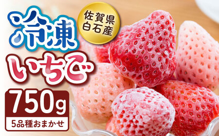 [2026年発送分 先行予約]冷凍いちご おまかせ 詰め合わせ 750g / 冷凍いちご 冷凍いちご 冷凍いちご 冷凍いちご 冷凍いちご 冷凍いちご 冷凍いちご / 佐賀県 / 岸川農園 