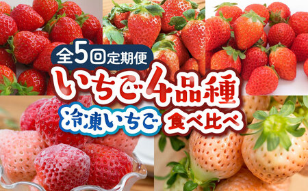 [2025年発送分先行予約][全5回定期便]佐賀県産 いちご4品種(いちごさん・さがほのか・よつぼし・淡雪)と冷凍食べ比べ / イチゴ 苺 白いちご 紅白 / 佐賀県 / 岸川農園 [41ASAG039] 苺 定期便 