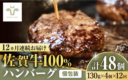 yS12ցzꋍ100no[O v48i130g×4×12j / ꌧ / LЍZgq [41ASAA160]