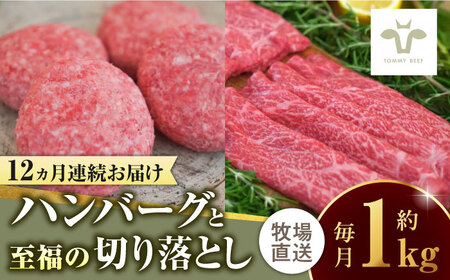 [全12回定期便]佐賀牛100%ハンバーグ4個と至福の切り落とし500g / ハンバーグ ハンバーグ ハンバーグ ハンバーグ ハンバーグ ハンバーグ ハンバーグ / 佐賀県 / 有限会社佐賀セントラル牧場 
