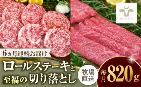 yS6ցz~tB[[Xe[L4Ǝ̐؂藎Ƃ500g / ꌧ / LЍZgq [41ASAA249]