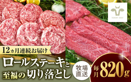yS12ցz~tB[[Xe[L4Ǝ̐؂藎Ƃ500g / ꌧ / LЍZgq [41ASAA250]