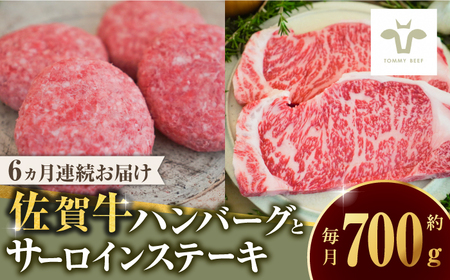 yS6ցzꋍ100no[O4ƃT[CXe[L200g / ꌧ / LЍZgq [41ASAA216]