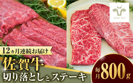yS12ցzꋍ ̐؂藎ƂƐԐgXe[LHה v9.6kg / ꌧ / LЍZgq [41ASAA226]