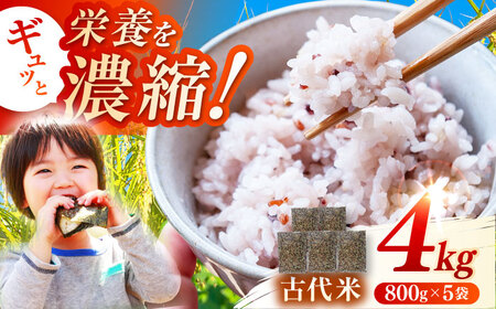 ꌧYÑ 3FMIX v4kgi800g×5܁j / ꌧ / {؎ɂƎR [41AABM009]