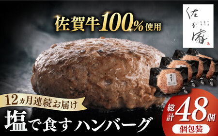 yS12ցz ꋍ100% no[O v48i140g×4×12j / ꌧ / Ѓi`t[Y [41AFAB007]