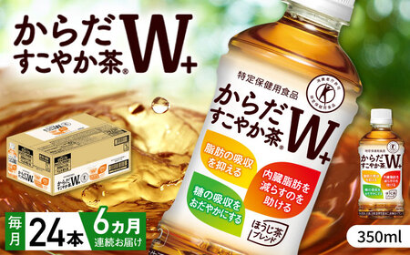yS6ցz炾₩v+ v144{i350ml×24{×6j /  gNz / RJER[ [41AFAO024]