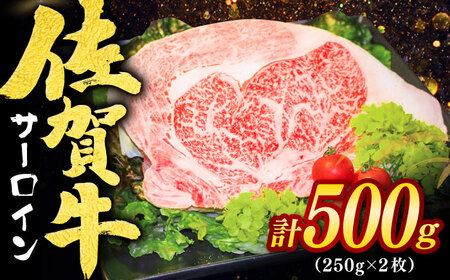 佐賀牛 サーロインステーキ 計500g(250g×2枚) / 佐賀県 / ヤマサン食品 