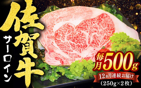 yS12ցzꋍT[CXe[L v6kgi250g×2×12j / ꌧ / }THi [41ADAA010]