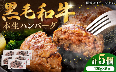 国産黒毛和牛本生ハンバーグ 計600g(120g×5個)/ ハンバーグ ハンバーグ ハンバーグ ハンバーグ ハンバーグ ハンバーグ ハンバーグ / 佐賀県 / 株式会社中山牧場 