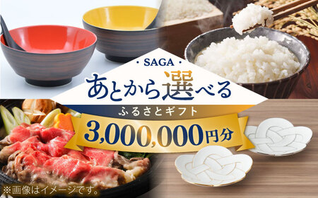 [あとから選べる]佐賀県ふるさとギフト 300万円分 / 後から ゆっくり選ぶ 寄附 コンシェルジュ 有田焼 和牛 米 [41AAZY012] あとから寄附 あとからギフト あとからセレクト 選べる寄付 選べるギフト あとから選べる