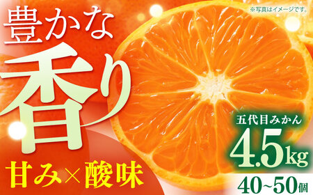 【2025年発送分先行予約】五代目みかん約4.5kg（40-50個） / みかん みかん みかん みかん みかん みかん みかん / 佐賀県 / 石橋果樹園 [41AAAJ003]