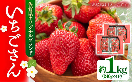  1kgi240g×4pbNj / ꌧ / yًGy [41AABE102]
