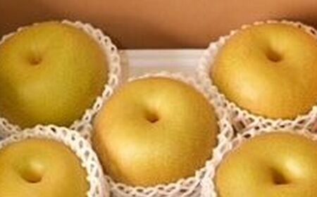 y2026N s\zyϔzKYiKj5-6i2.3kgj / ꌧ / O [41AEAB013]