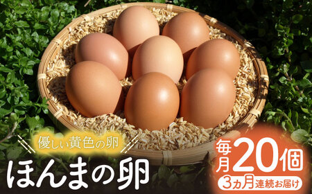 [全3回定期便]平飼いニワトリの有精卵!ほんまの卵定期便 計60個(20個×3回) / たまご 卵 平飼い / 佐賀県 / 本間農園