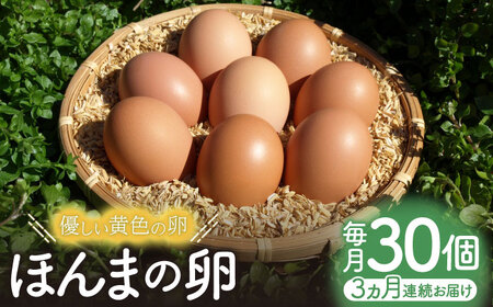 【全3回定期便】平飼いニワトリの有精卵！ほんまの卵定期便 計90個（30個×3回） / 卵 卵 卵 卵 卵 卵 卵 / 佐賀県 / 本間農園 [41AJAA020]
