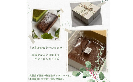こだわりの厳選材料!コネルのガトーショコラ / ガトーショコラ ガトーショコラ ガトーショコラ ガトーショコラ ガトーショコラ ガトーショコラ ガトーショコラ / 佐賀県 / パンと器のコネル 