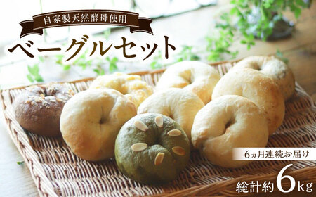 yS6ցzƐVRỹx[OZbg v6kgi1kg×6j / ꌧ / pƊ̃Rl [41AJAB005]