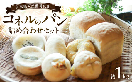 自家製天然酵母パンの詰め合わせセット 計約1kg / パン パン パン パン パン パン パン / 佐賀県 / パンと器のコネル 