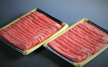 佐賀牛赤身肉スライスと丸福特製ハンバーグ食べ比べセット / 牛肉 佐賀牛 黒毛和牛 すきやき / 佐賀県 / マルフクフーズ