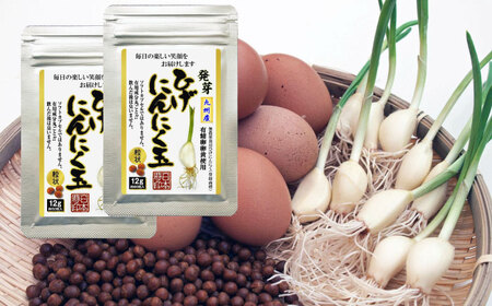 Ђɂɂ 2܁i160j / ꌧ / {ɂɂ [41AAAO002]