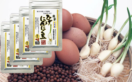 Ђɂɂ 4܁i160j / ꌧ / {ɂɂ [41AAAO004]