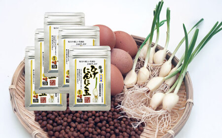 [家計お助け返礼品][発芽ひげにんにくと有精卵] ひげにんにく玉 5袋(1袋60粒入) / にんにく卵黄 にんにく ニンニク にんにく玉 健康食品 / 佐賀県 / 日本にんにく