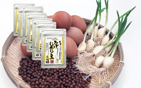 Ђɂɂ 10܁i160j / ꌧ / {ɂɂ [41AAAO006]