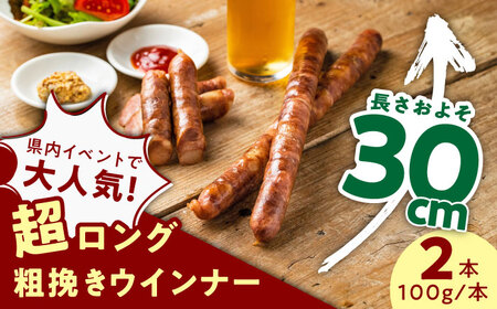 [長さ20-30cm超ロング!超粗挽きウインナー]GASBO(ガスボー)計2本(100g×2本入り×1P) / 佐賀県 / 山代ガス株式会社 旬菜舎さと山