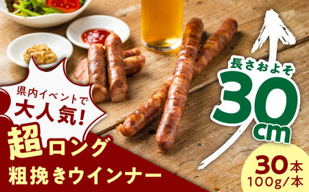 GASBOiKX{[jv30{i100g×10{×3Pj / ꌧ / {؎ɂƎR [41AABM042]