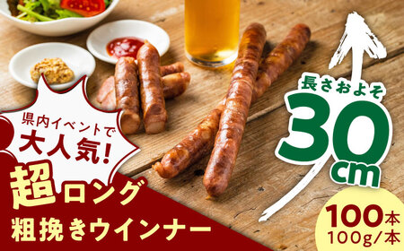 [現行寄附額5月7日まで!][長さ20-30cm超ロング!超粗挽きウインナー]GASBO(ガスボー)計100本(100g×10本入り×10P) / 佐賀県 / 山代ガス株式会社 旬菜舎さと山