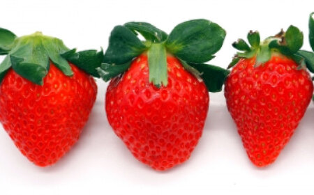 さがほのか4パック / 佐賀県 / 一般社団法人龍乃 