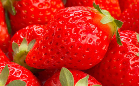 �������H�ה�� �e2�p�b�N�i����������E�����ق̂��j / ���ꌧ / ��ʎВc�@�l���T [41ANAC005]