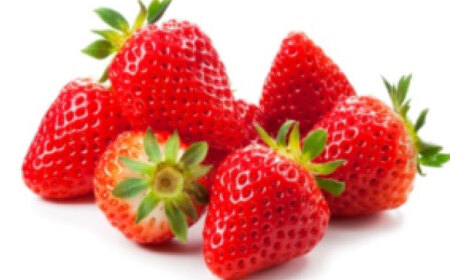 ������4�p�b�N�i����������2�p�b�N+���܂���2�p�b�N�j / ���ꌧ / ��ʎВc�@�l���T [41ANAC006]