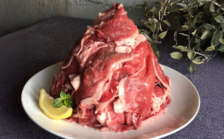 ꌧYa VuXL1kgIXCX / ꌧ / ʎВc@lT [41ANAC021]