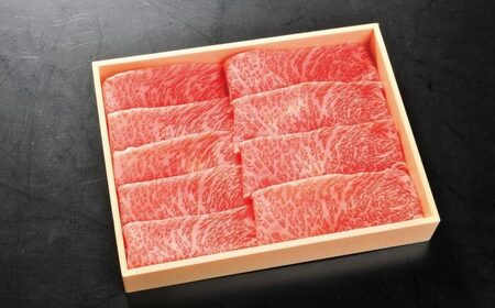 [現行寄附額5月7日まで!]佐賀牛モモスライス500g / 佐賀牛 牛肉 しゃぶしゃぶ すき焼き / 佐賀県 / やま田商店