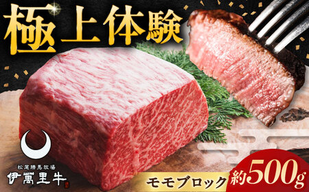 伊萬里牛赤身ブロック 500g / 伊万里牛 伊萬里牛 牛肉 赤身 ブロック / 佐賀県 / まつお食肉卸株式会社[41AECZ001]