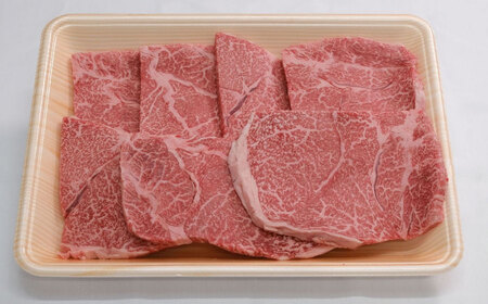 厳選佐賀牛 赤身ステーキ500g / 佐賀県 / 有限会社片岡精肉店 