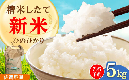 [2025年発送分先行予約]令和7年産 ひのひかり5kg 白米 / 佐賀県産 お米 米 ふるさと納税 産地直送 / 佐賀県 / 有限会社中島商店