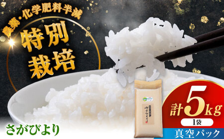 ߘa7NY ȂȂ܉ т5kg /  ʍ͔| / ꌧ / LЎ_Y [41AHAC002]