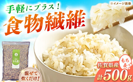 ꌧY 500g / ꌧ / ʎВc@lT [41ANAC105]