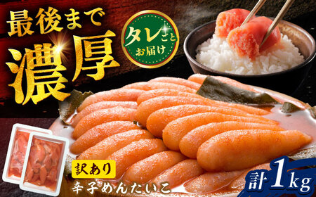 y󂠂ztÂhqq1kgi500g×2pbNj / ꌧ / ₿ [41ACAE007]
