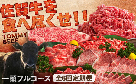 [全6回定期便]佐賀牛一頭フルコース定期便 / 佐賀牛 佐賀牛 佐賀牛 佐賀牛 佐賀牛 佐賀牛 佐賀牛 / 佐賀県 / 有限会社佐賀セントラル牧場 