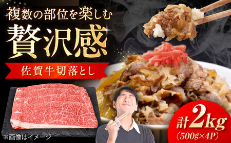 ꋍ ؂藎Ƃ 2kg i500g×4Pj / ꌧ / DcX[41ADAB008]