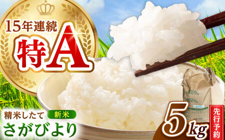 [2025年発送分 先行予約]令和7年産 さがびより5kg 白米 / 佐賀県 / 有限会社中島商店 