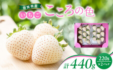ys\z ꌧY Vi ̐F 220g×2pbN / ꌧ / ]_[41ASBK003]